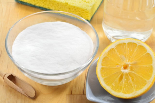 tips para eliminar los olores en casa producidos por las mascotas
