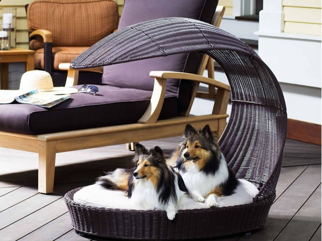 como decorar si hay mascotas en casa
