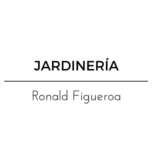 Ronald Figueroa